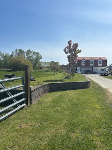 Wild & Woolly Country Guesthouse Retreat