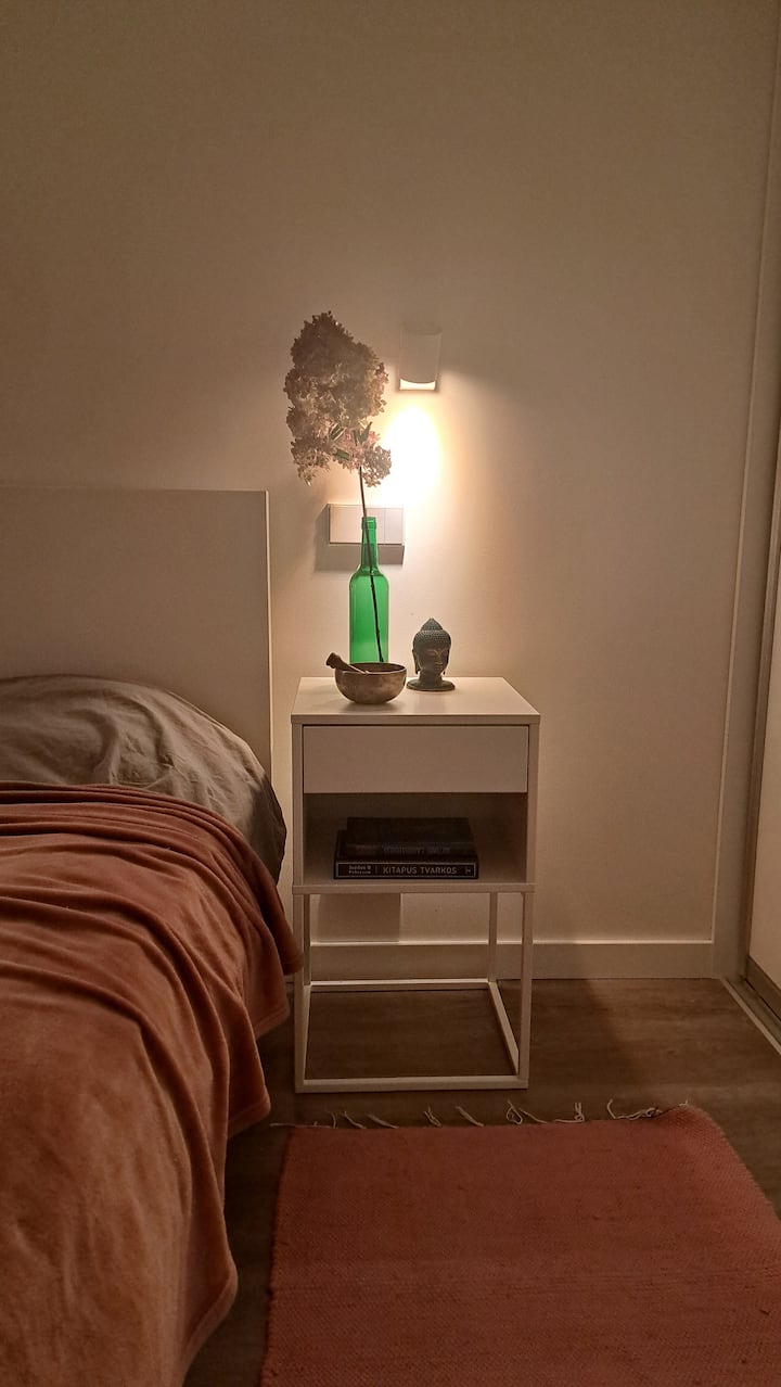 The Traveller Type Whole Flat In ŠNipiškės - Vilnius