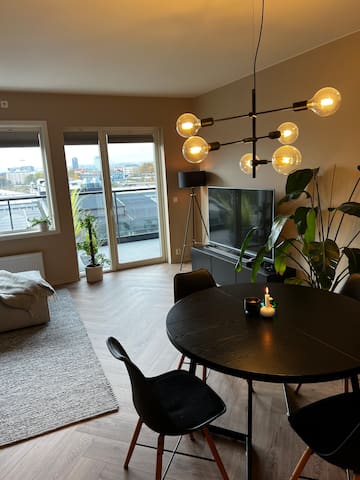 Luxurious top-floor apartment (free parking) gallery image 2