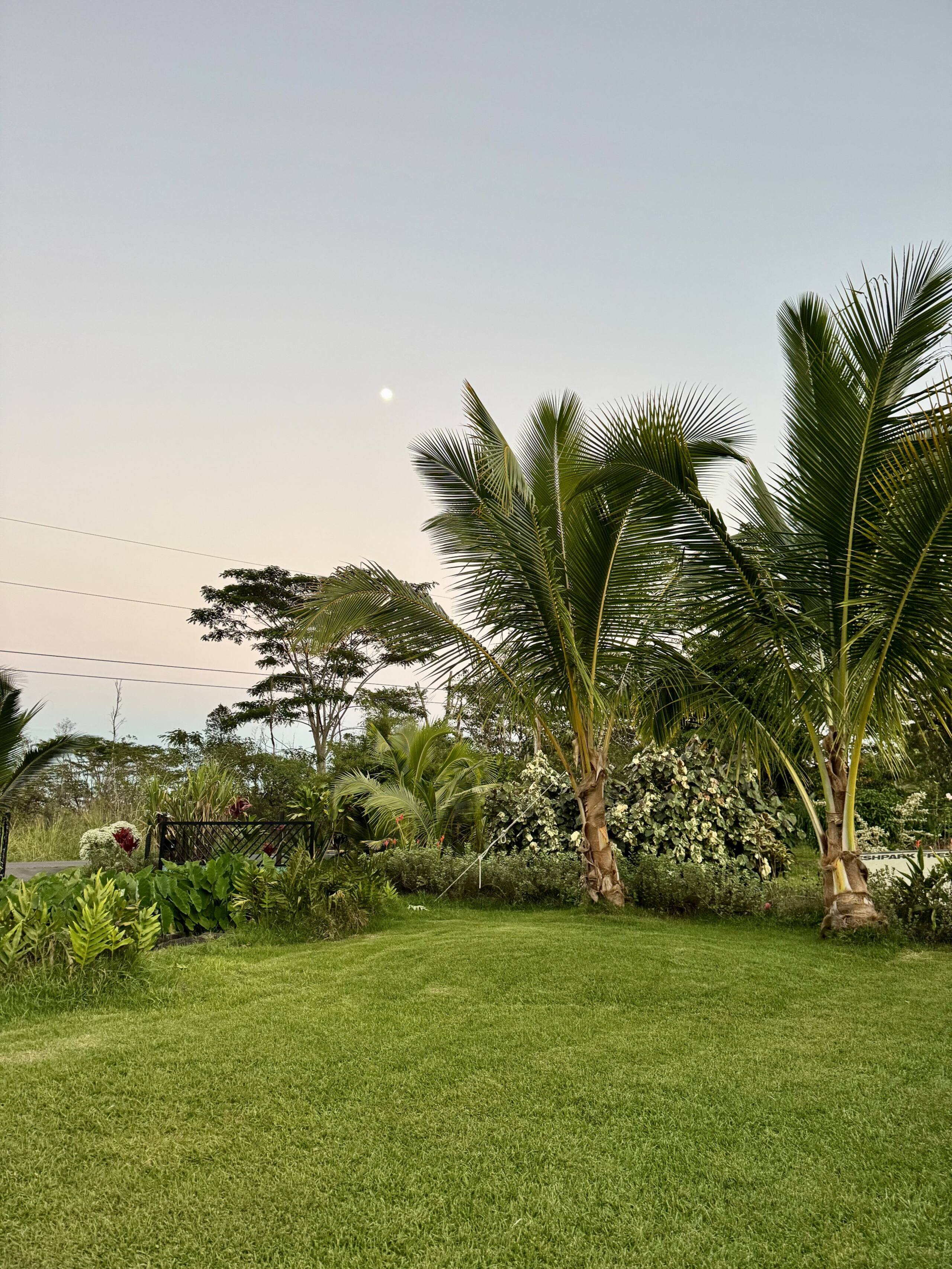 A Perfect location In Paradise! - Photo 25
