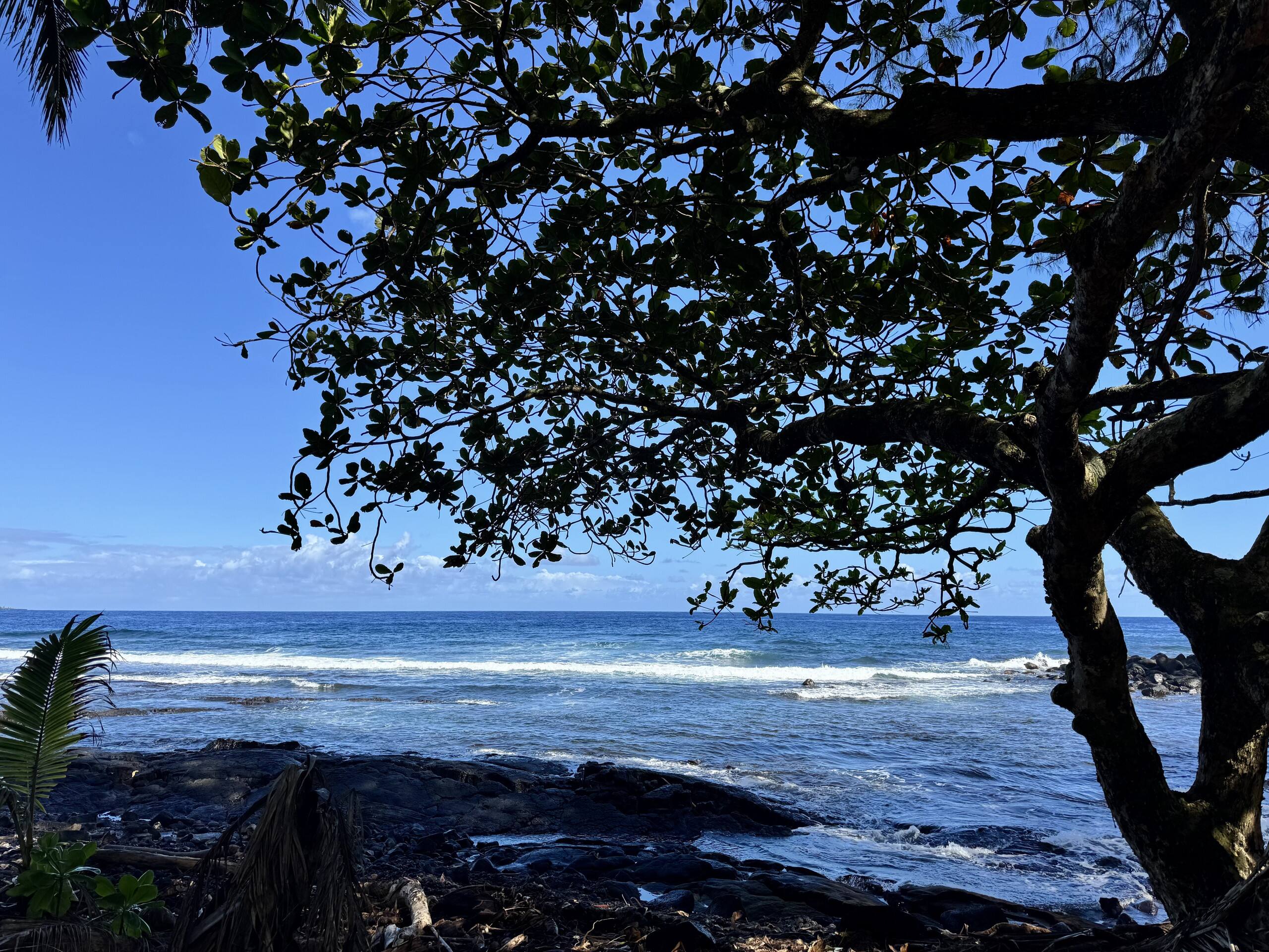 A Perfect location In Paradise! - Photo 46