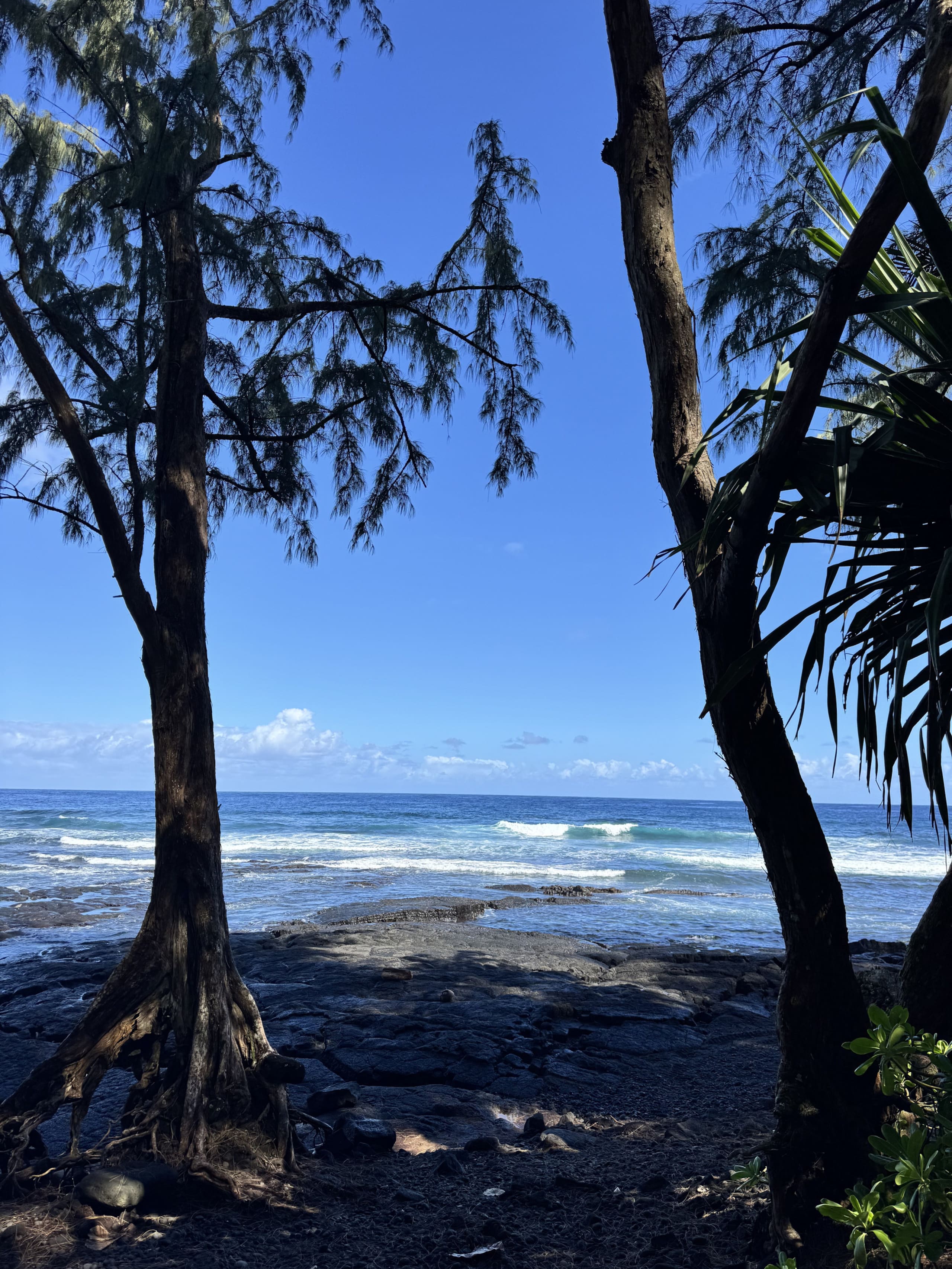 A Perfect location In Paradise! - Photo 47