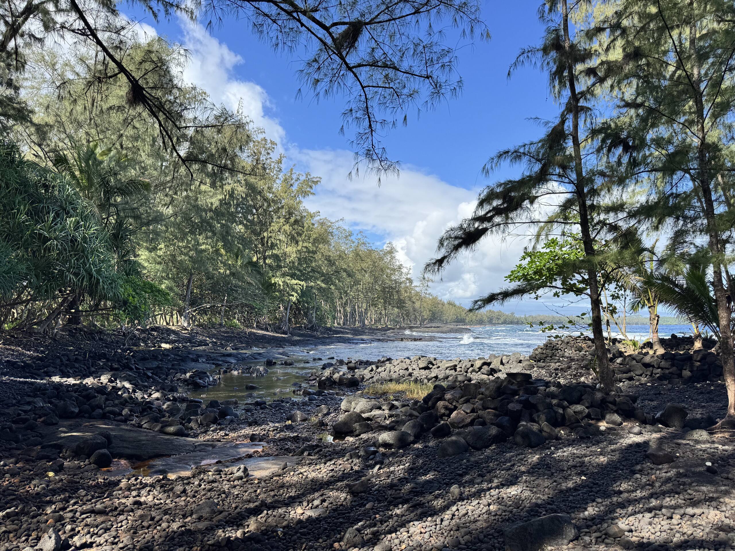 A Perfect location In Paradise! - Photo 48