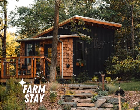 Lux Cabin on Farm, River, Animals, Projector