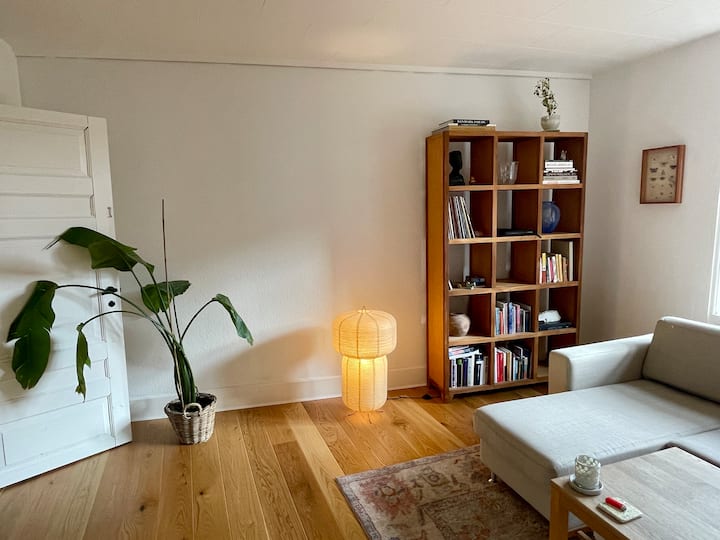 Charmerende Og Rummelig Vesterbro-lejlighed - Copenhagen