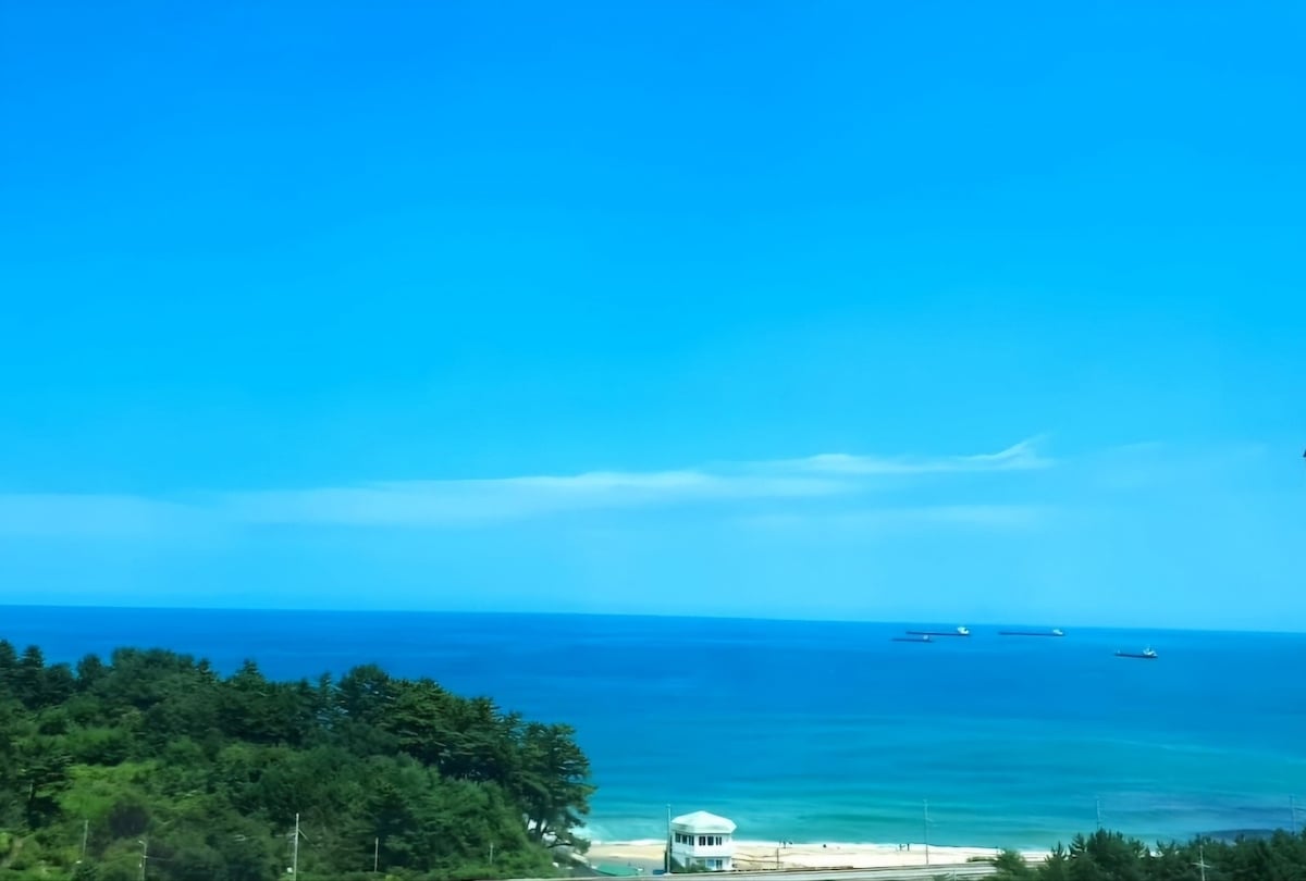 Ჰანსომის ზღვა საცხოვრებლიდან 