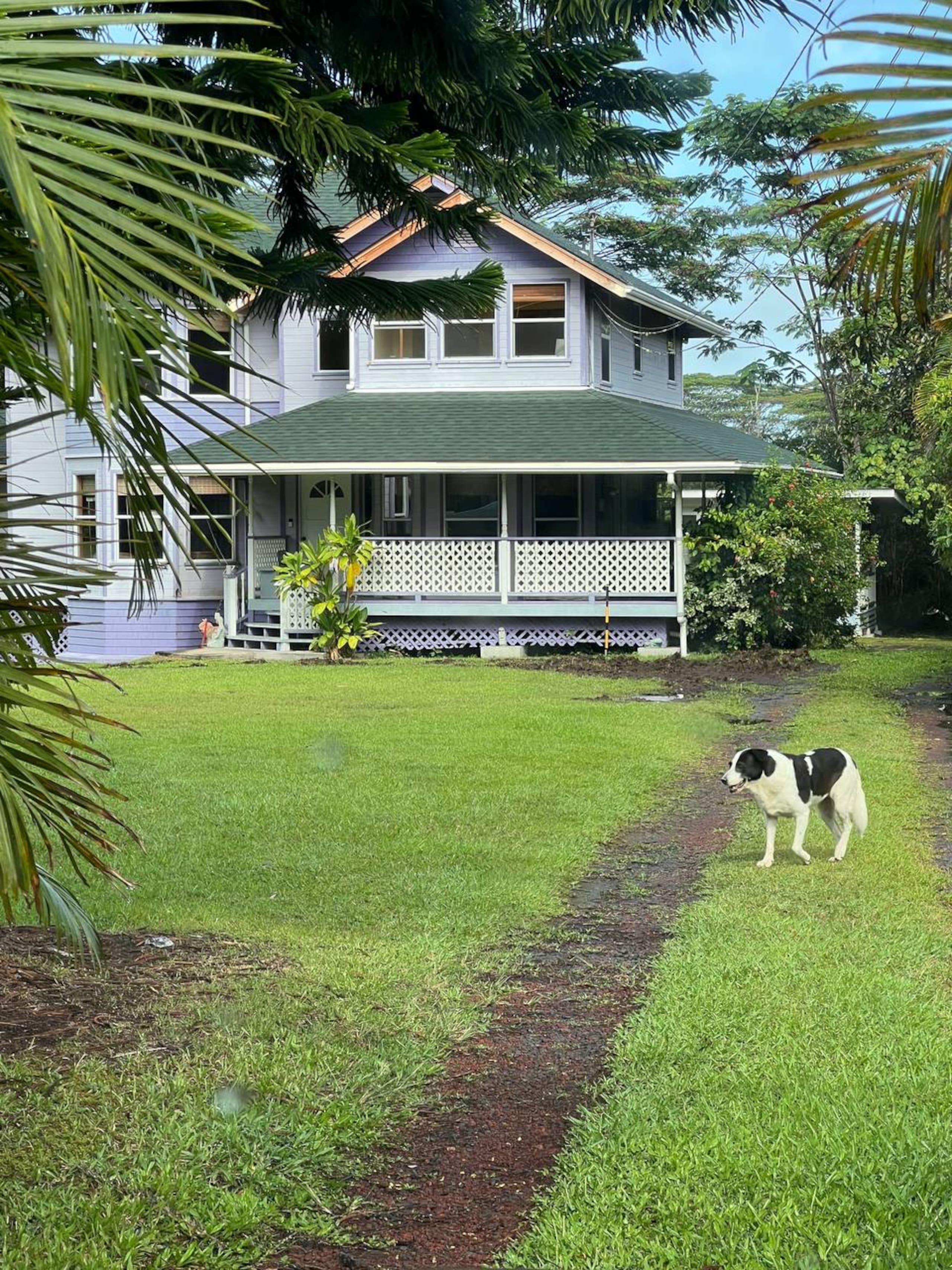 Home in Keaau · ★5.0 · 5 bedrooms · 7 beds · 4 private baths - Image 78
