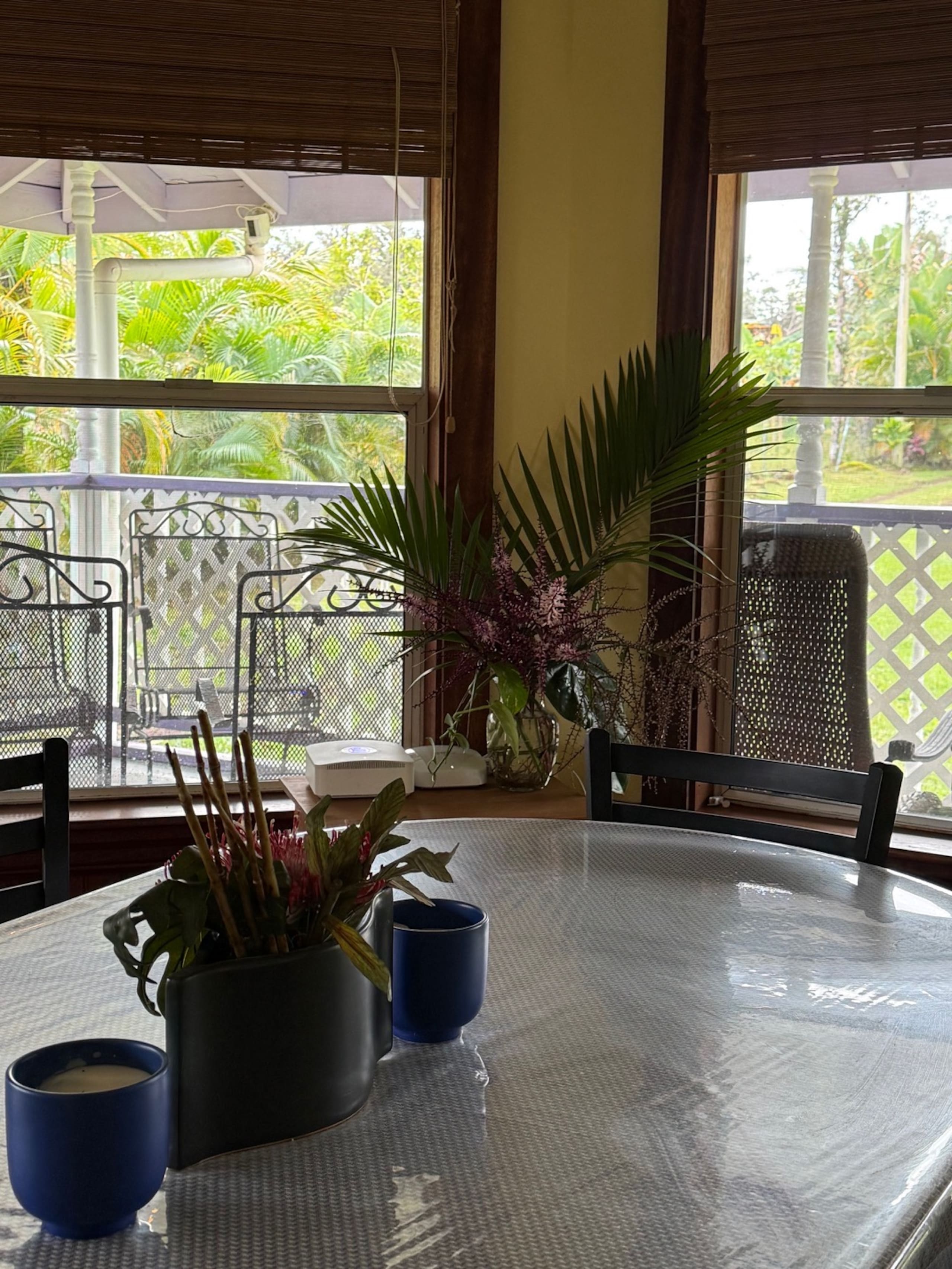 Home in Keaau · ★5.0 · 5 bedrooms · 7 beds · 4 private baths - Image 127