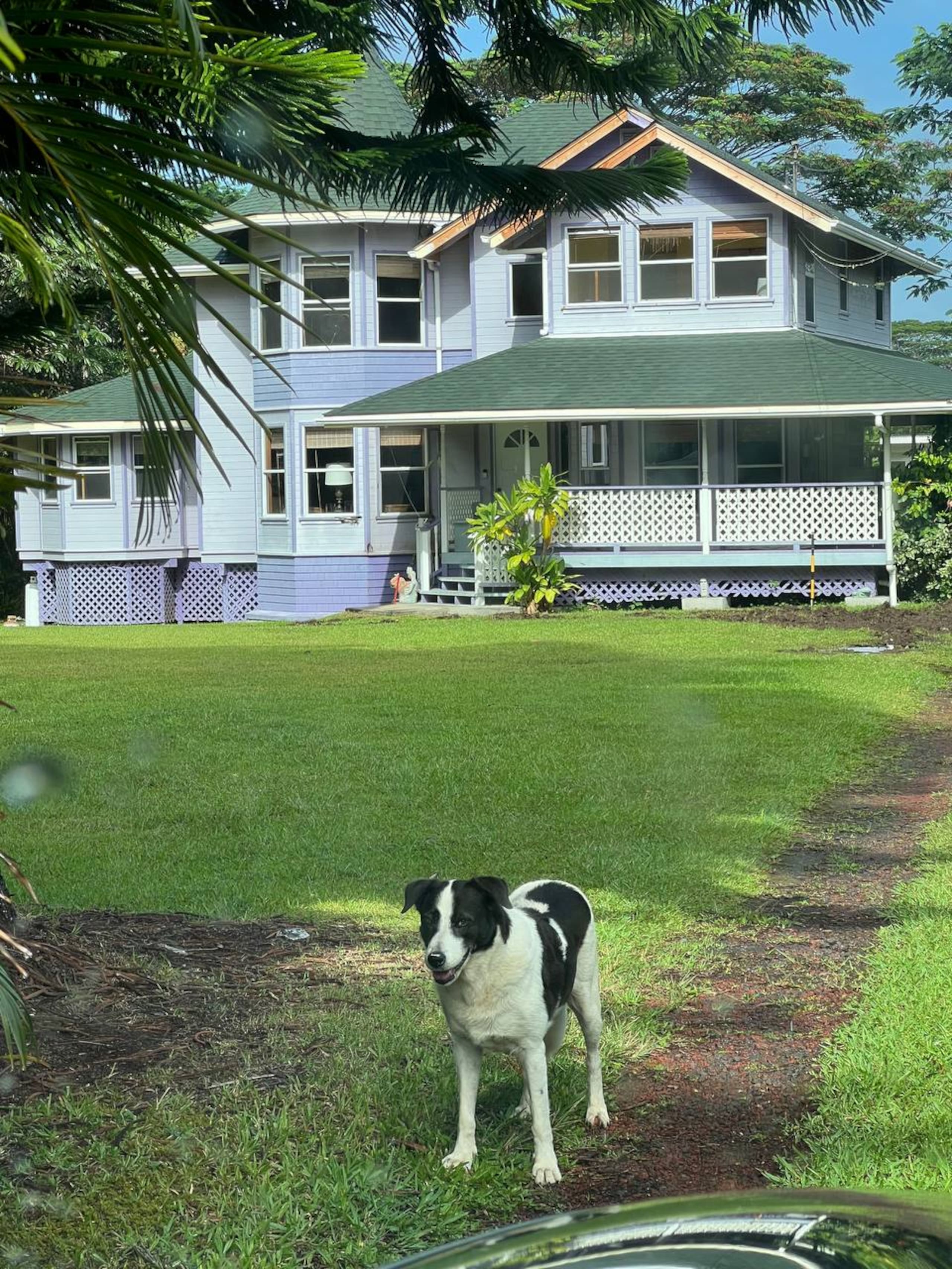 Home in Keaau · ★5.0 · 5 bedrooms · 7 beds · 4 private baths - Image 1