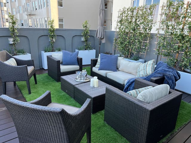 Pacific Heights View Penthouse with Terrace