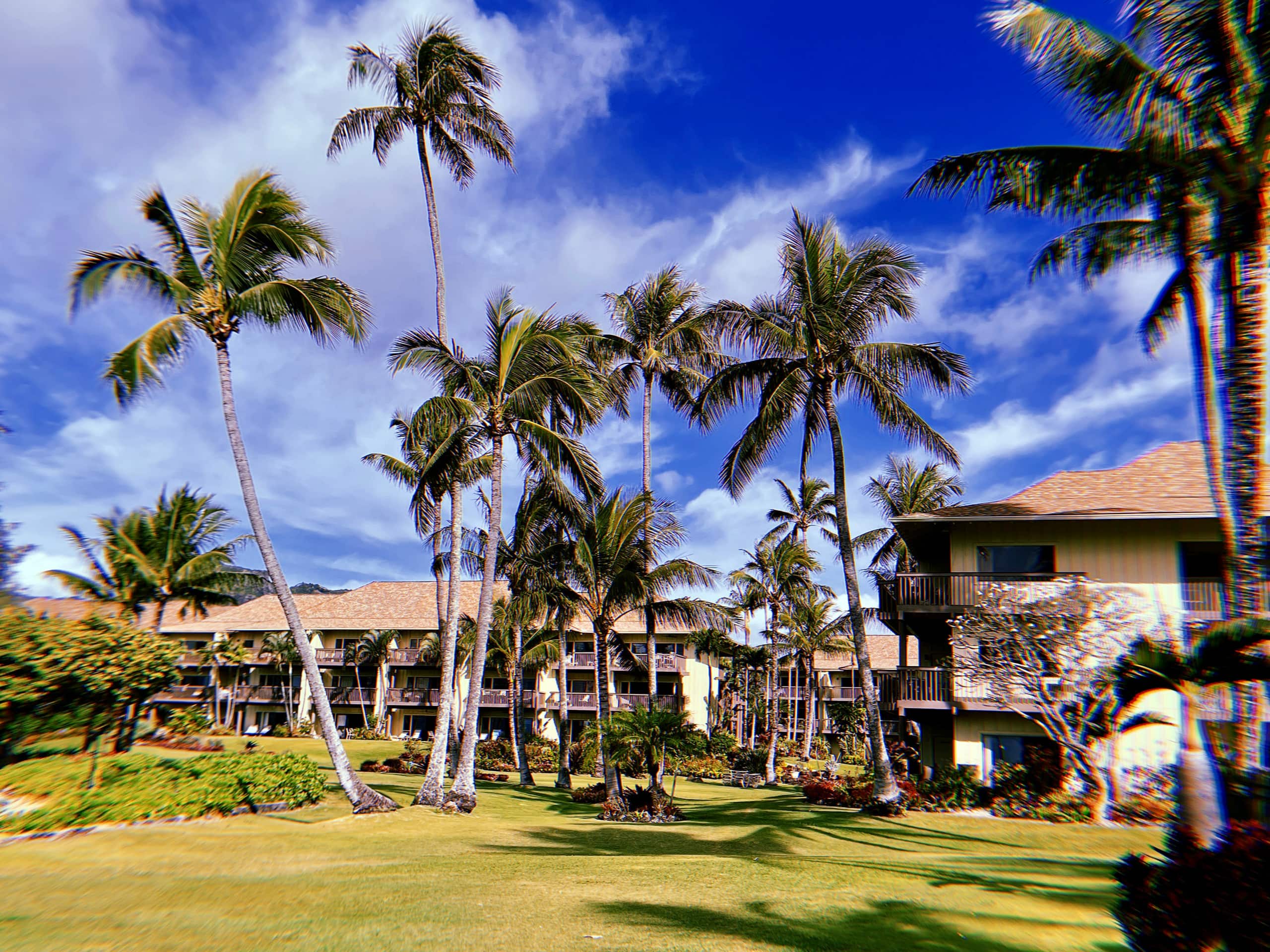 Coconut Coast Beachfront-LaeNani - Photo 12