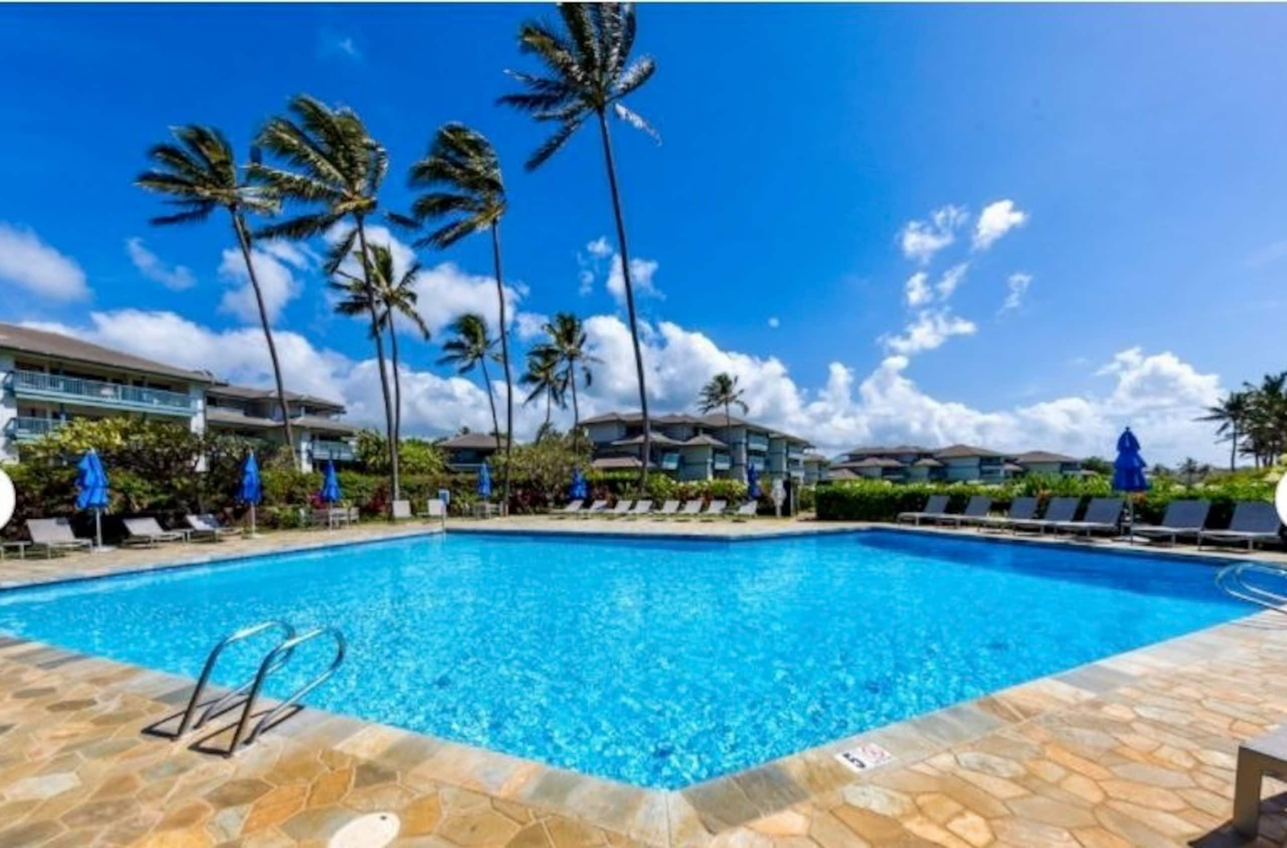 Coconut Coast Beachfront-LaeNani - Photo 18