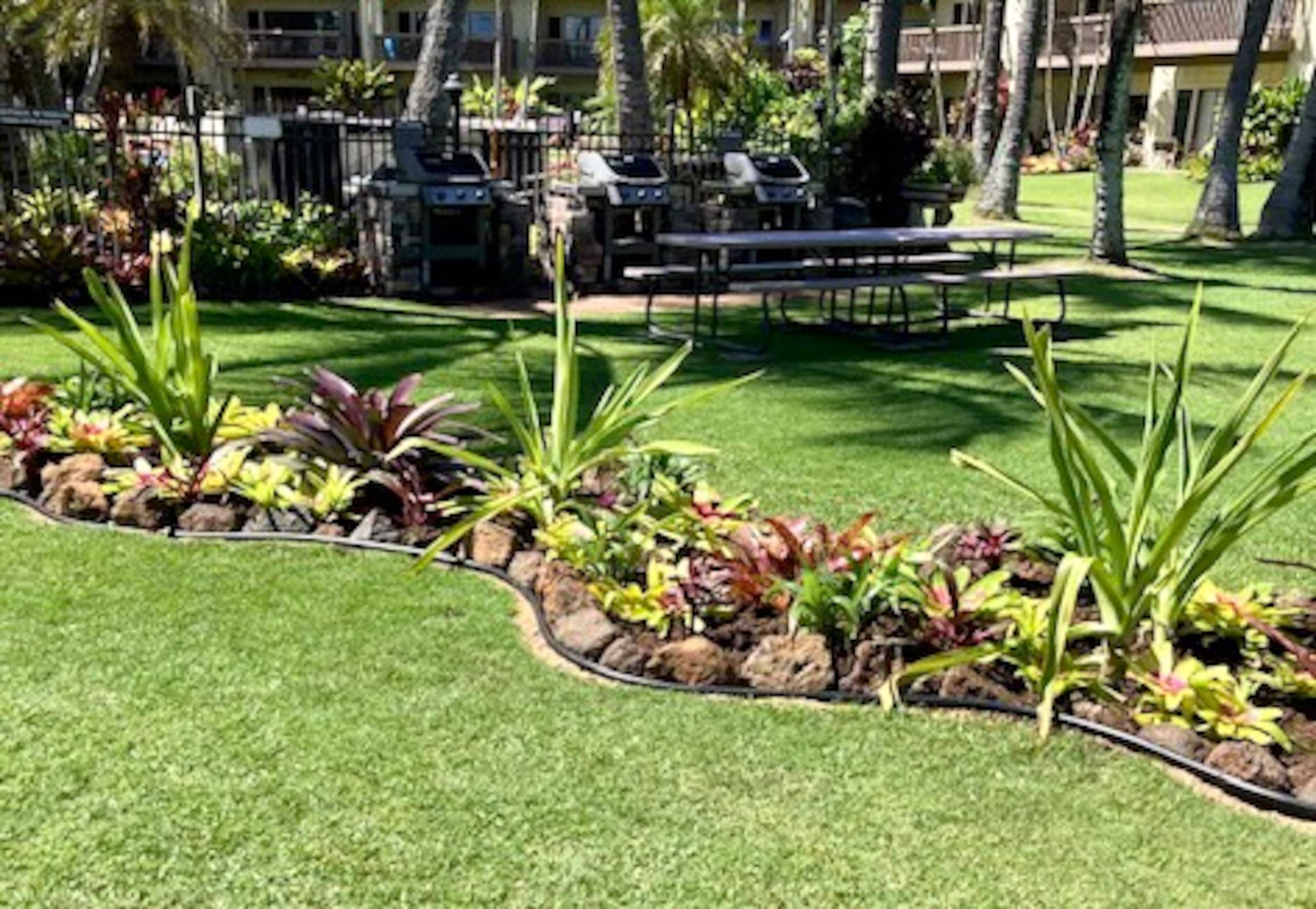 Coconut Coast Beachfront-LaeNani - Photo 10