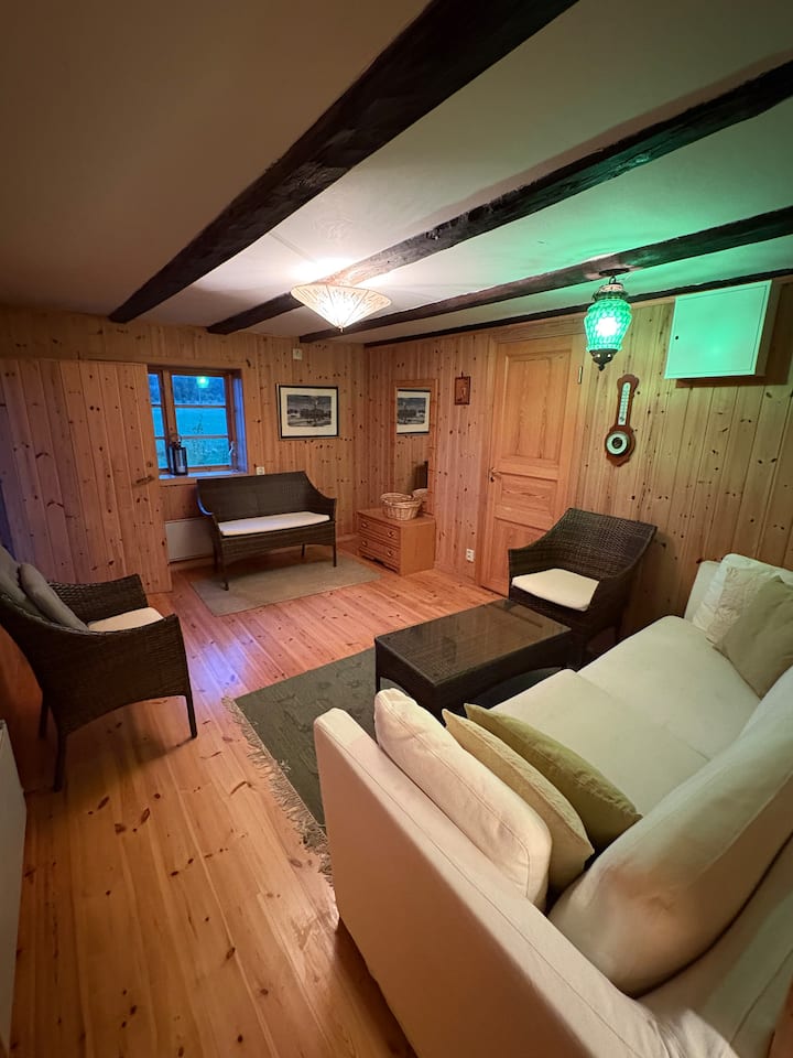 غرفة المعيشة