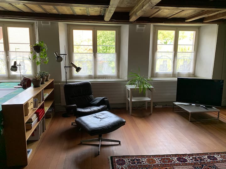Altbauwohnung Im Zentrum - Switzerland
