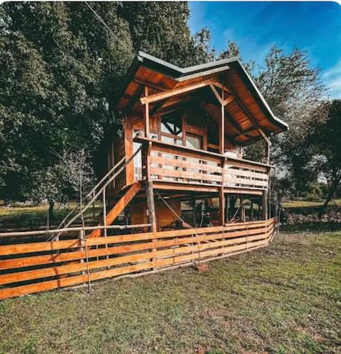 Successful Airbnb property: The Treehouse of the Dragon in Περιφερειακή Ενότητα Ιωαννίνων