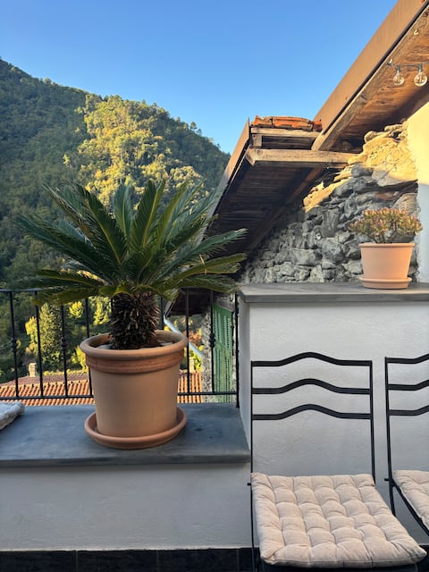 Iconic Italian Townhouse w Rooftop Terrace, Pigna