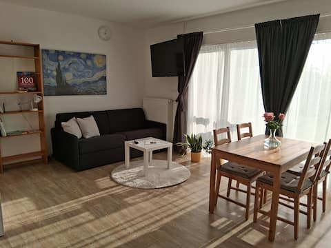 Studio with south terrace amidst meadows 40 m²