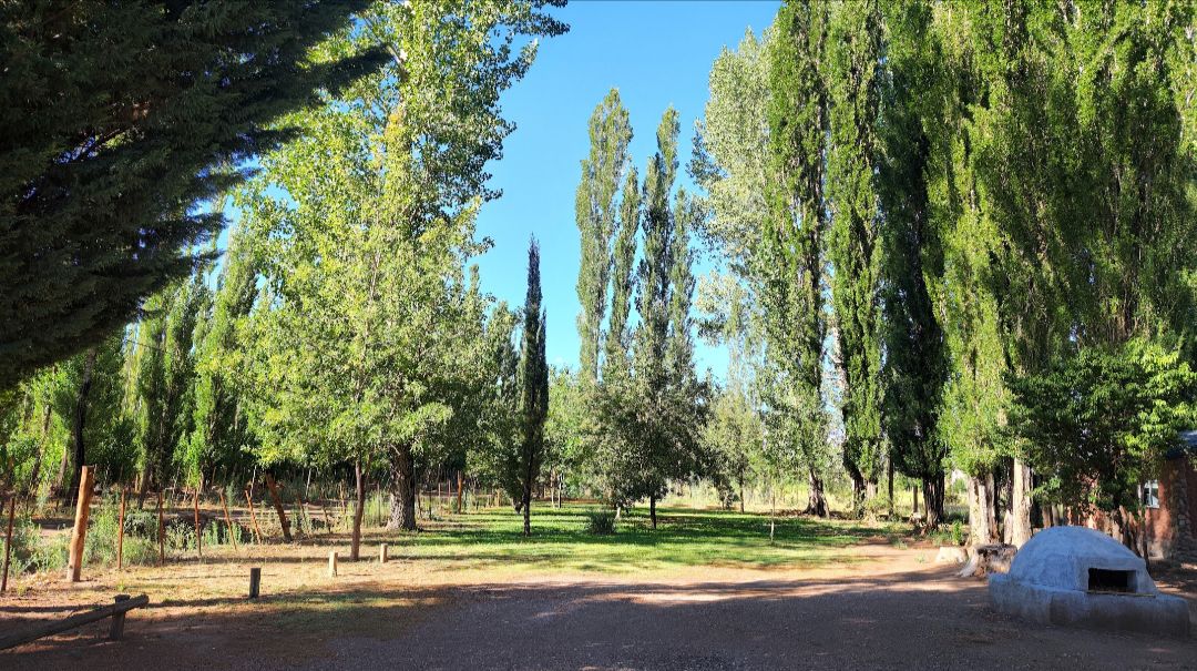 A spacious outdoor area is surrounded by tall trees, creating a peaceful green landscape. Sunlight filters through the leaves, illuminating the grassy ground. A pathway meanders through the natural setting, showcasing the tranquility of the environment.