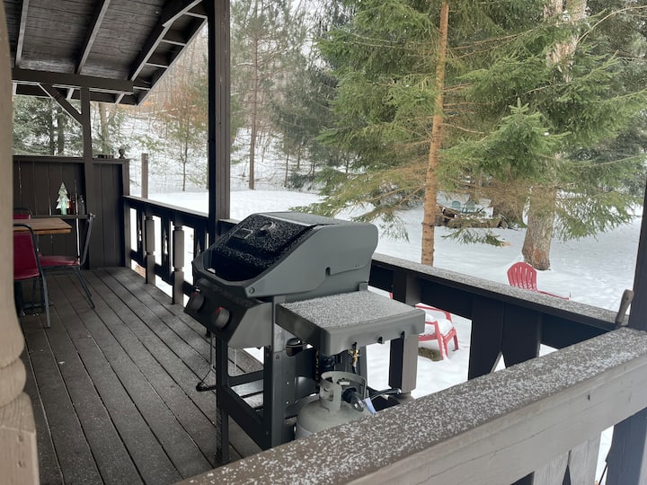 Pizza Pie! Mountain Pie Rental on River channel - Cabins for Rent