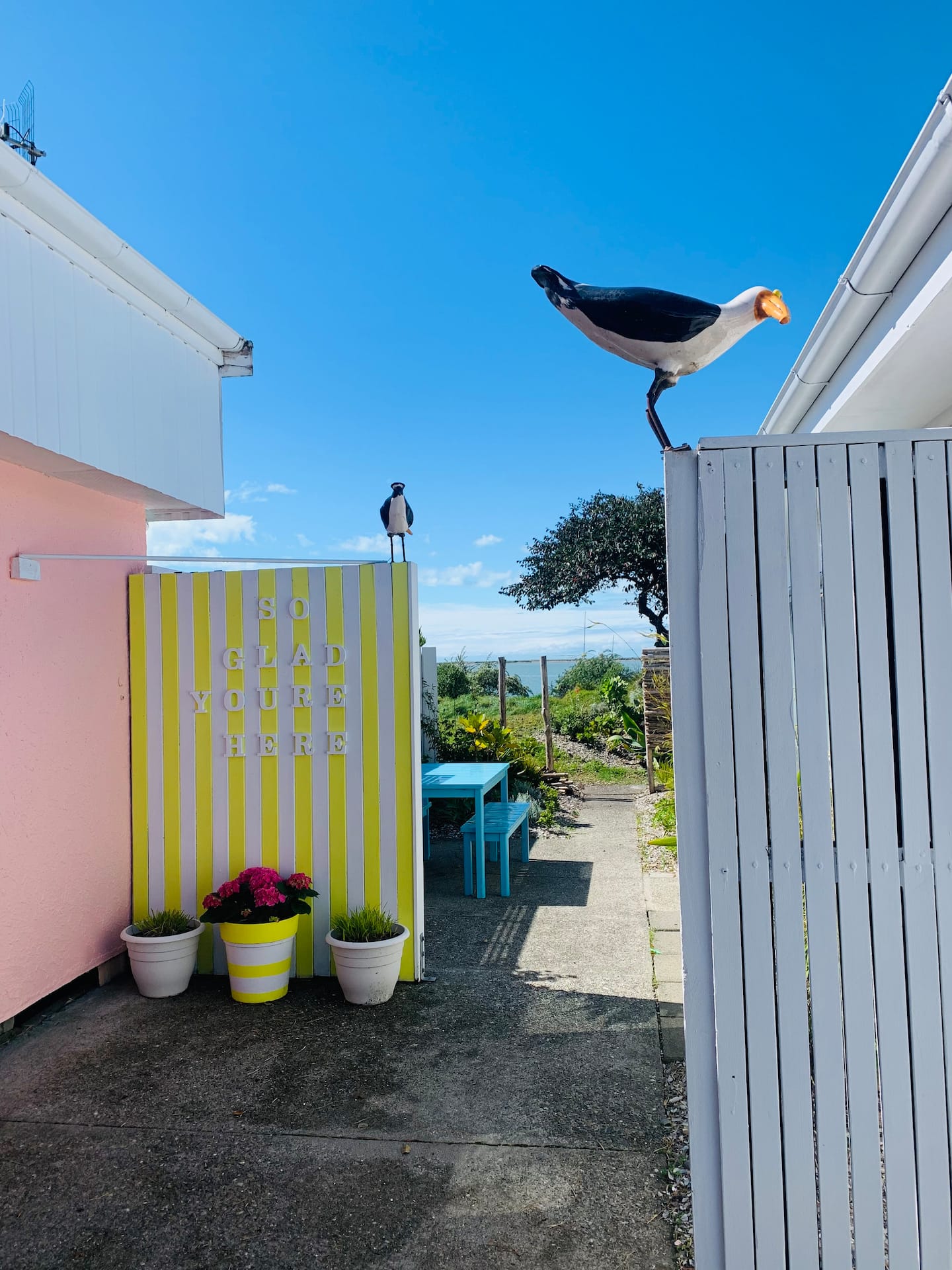 The Beach Kiwi Studio 5