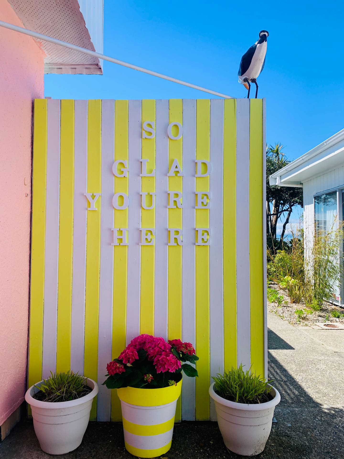The Beach Kiwi Studio 4