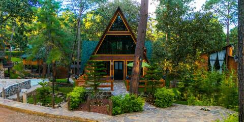 Amazing Owl Cabana