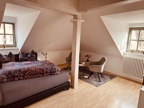 Beautiful apartment(2) in the historic old town