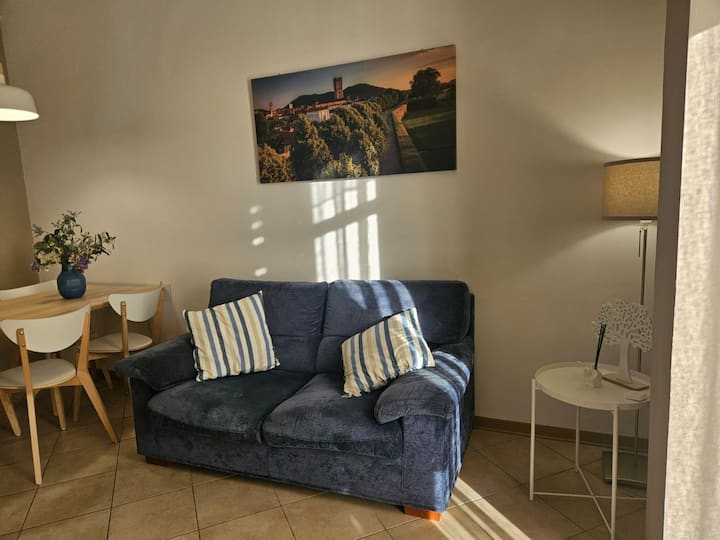Accogliente Appartamento A Lucca - Lucca