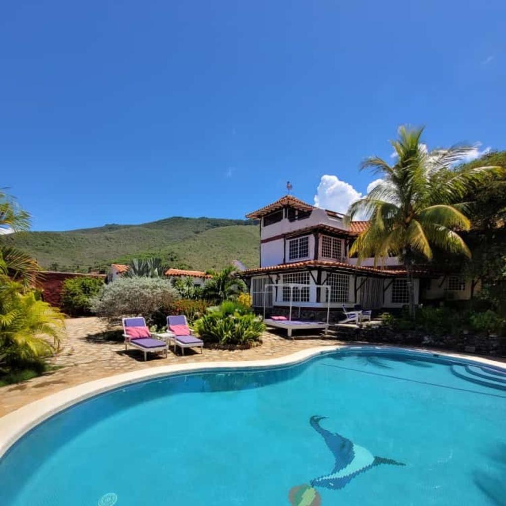 The villa's exterior is framed by lush greenery and palm trees, overlooking a tranquil pool. Two lounge chairs with light purple cushions are positioned at the pool's edge, inviting relaxation. The building features a charming design with wooden accents and large windows, set against a clear blue sky.