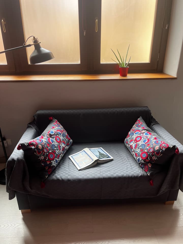 Ex Laboratorio Al Cit- Loft In Cit Turin - Турин