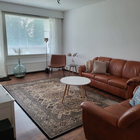 Bright open-plan apartment