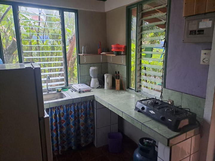 Jolly's Jungle-apartment - Costa Rica