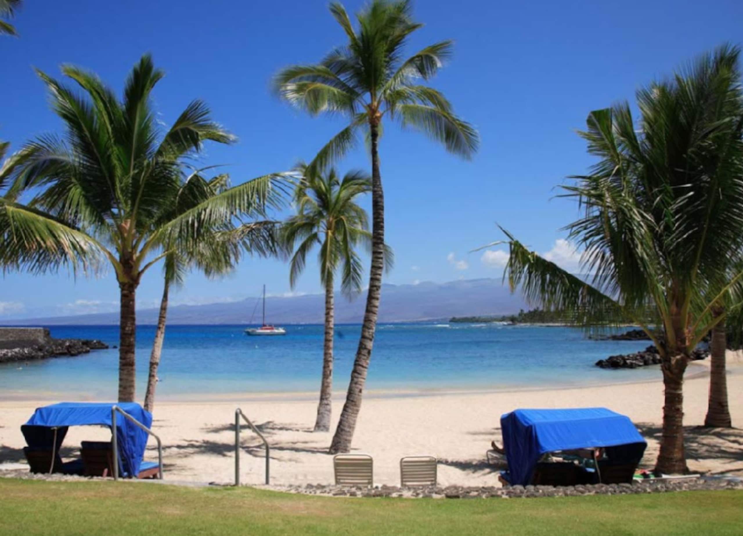 Home in Waimea · ★4.97 · 3 bedrooms · 4 beds · 3.5 baths - Image 68