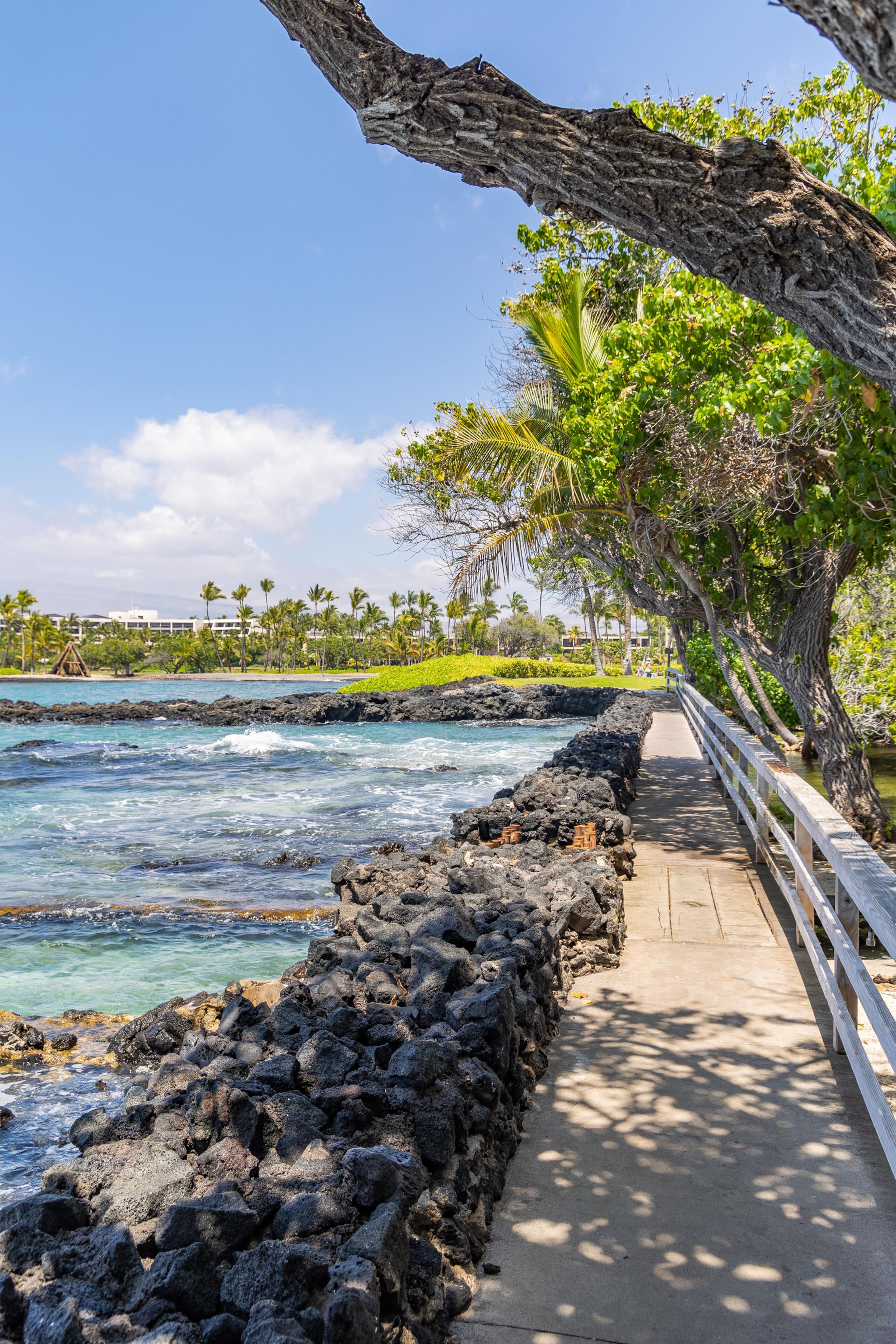 Home in Waimea · ★4.97 · 3 bedrooms · 4 beds · 3.5 baths - Image 77