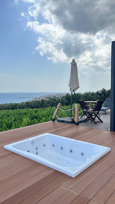 Peaceful and comfortable house in the vineyard