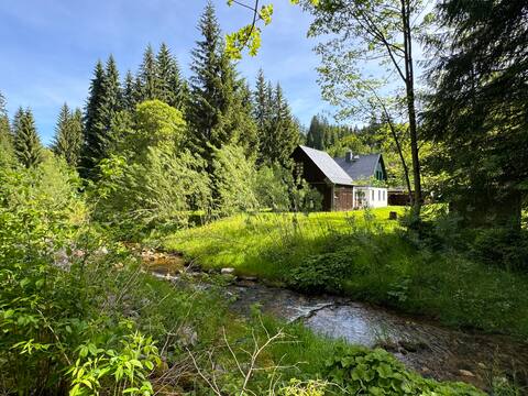 Mountain Reserve Dachsbau: Bergchalet mit Waldbach