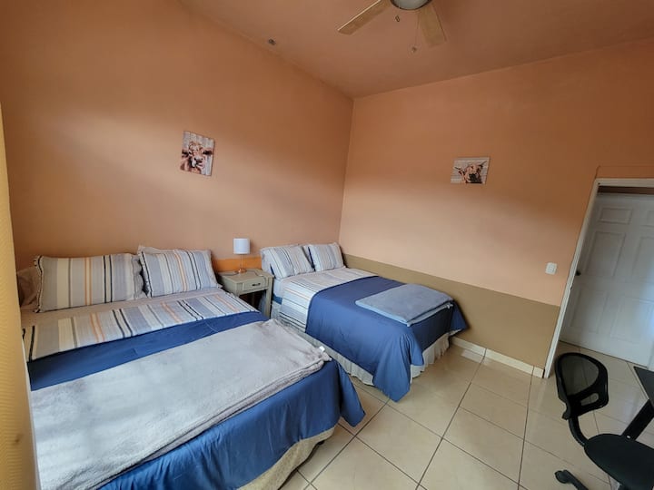 Habitación 1
