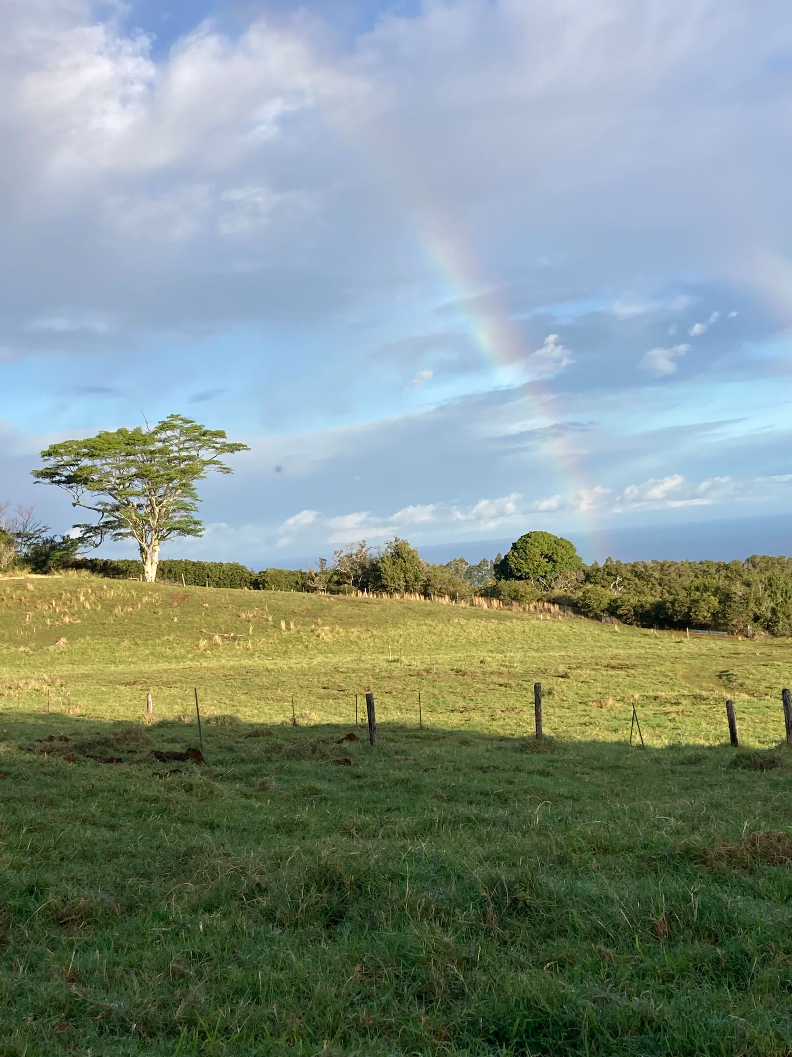 Cabin in Hawaii County · ★4.85 · 2 bedrooms · 3 beds · 1.5 private baths - Image 27