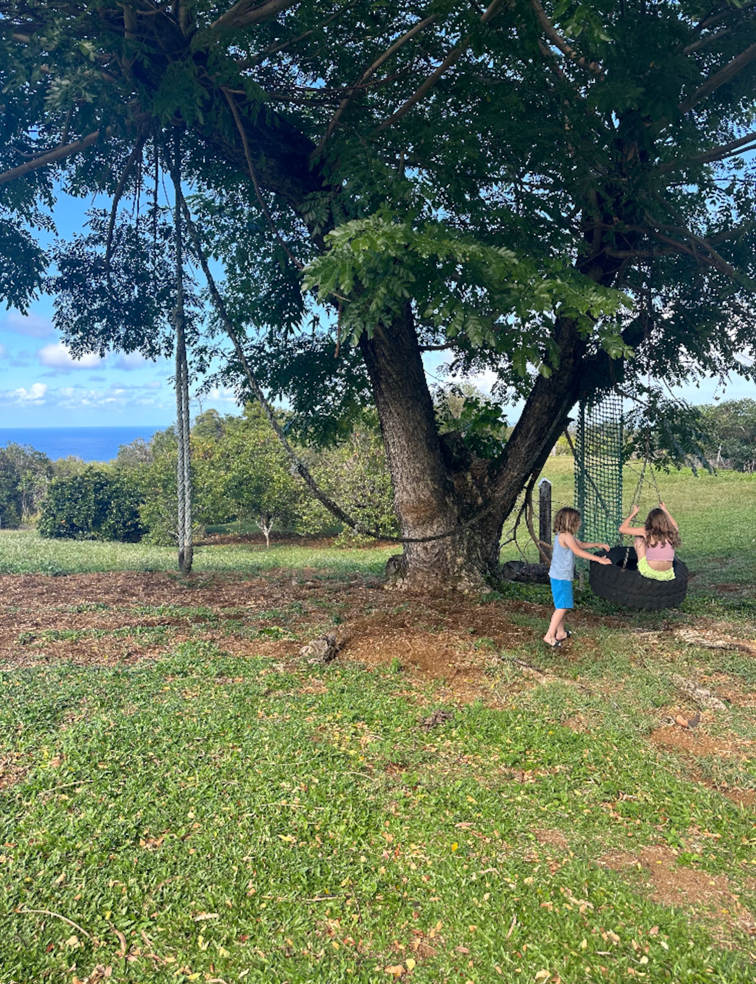 Cabin in Hawaii County · ★4.85 · 2 bedrooms · 3 beds · 1.5 private baths - Image 4