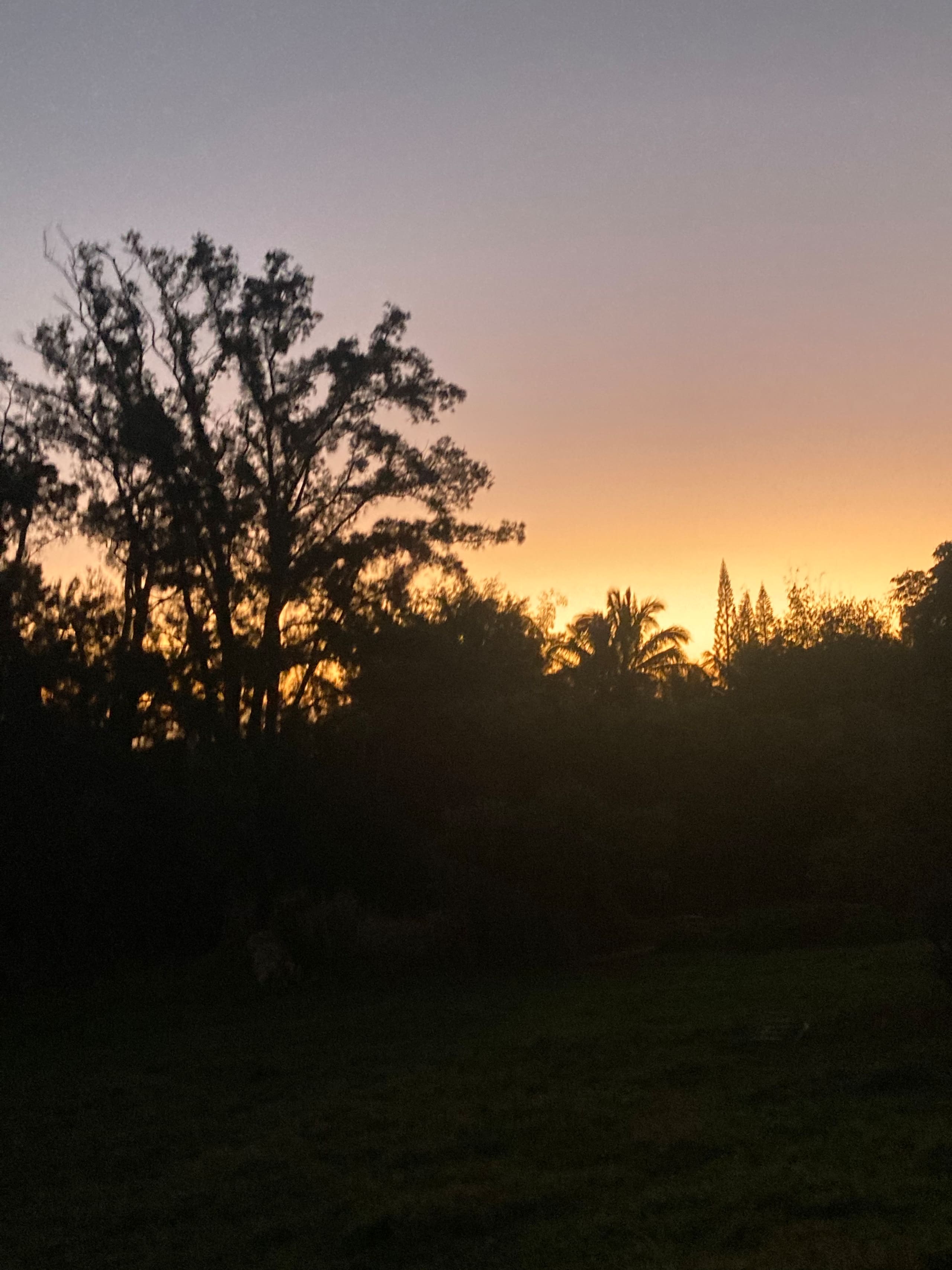 Cabin in Hawaii County · ★4.85 · 2 bedrooms · 3 beds · 1.5 private baths - Image 26
