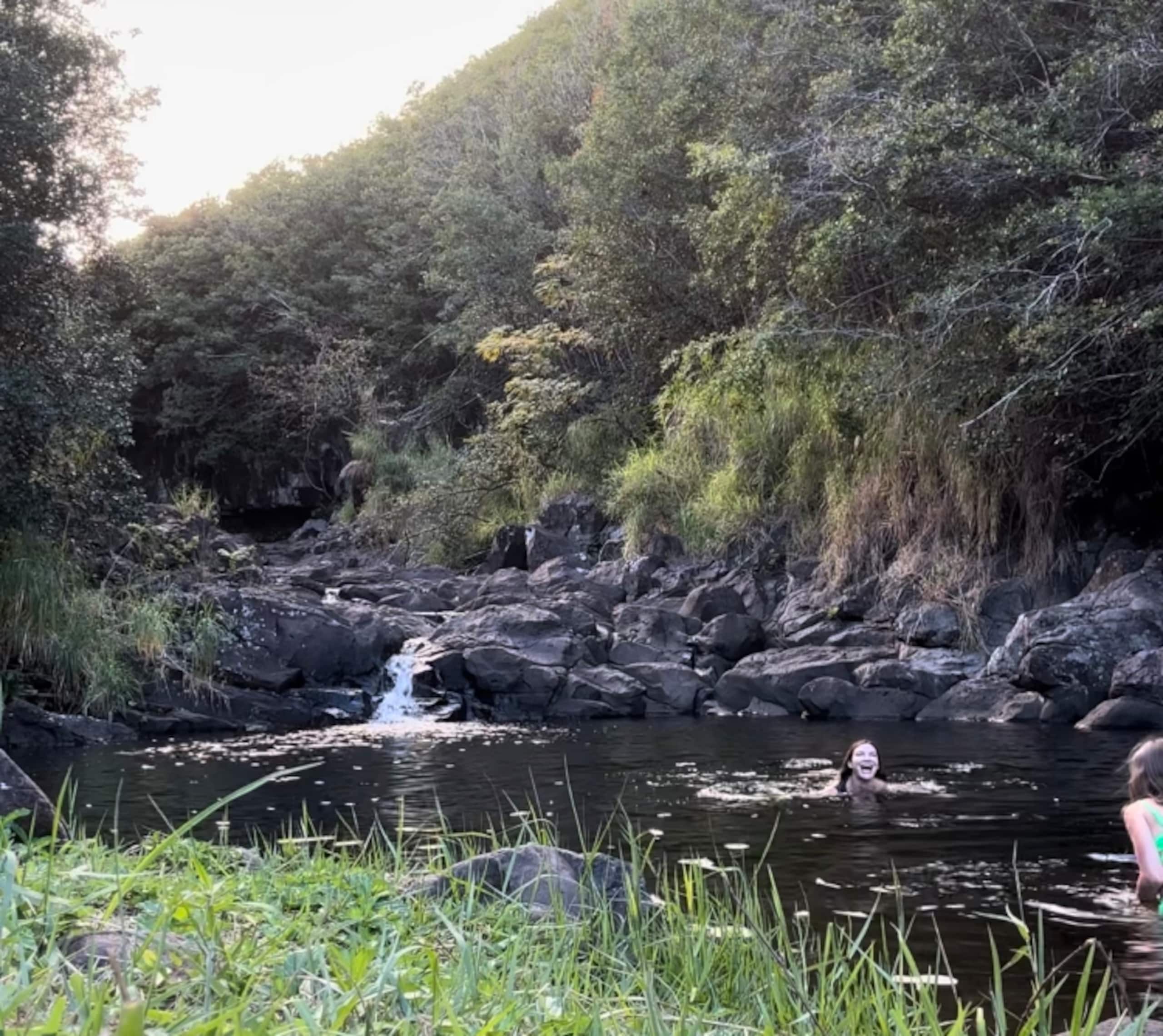 Cabin in Hawaii County · ★4.85 · 2 bedrooms · 3 beds · 1.5 private baths - Image 6