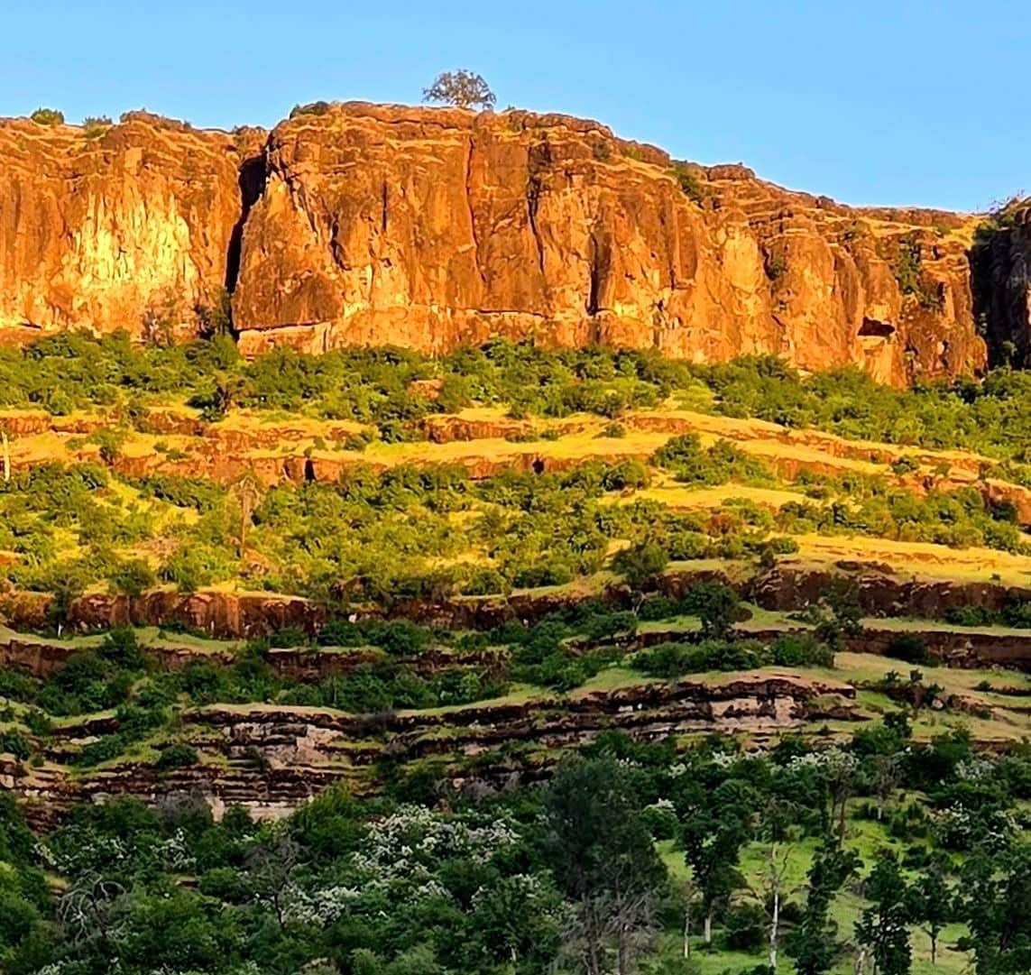 The landscape displays rugged cliffs adorned with vibrant, sunlit rock formations. Lush greenery interspersed with layered terraces creates a contrasting texture against the rocky surface. A clear blue sky frames the scene, highlighting the natural beauty of the surrounding area.