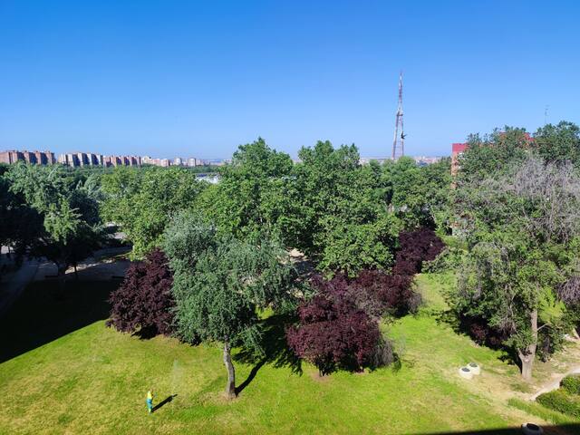 Madrid Movistar Arena/Estadio Metropolitano Flat gallery image 5