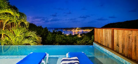 Ocean-View Villa w/ Infinity Pool