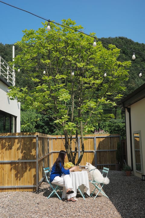 Jijangsan Valley Dog Exclusive Accommodation (Tongchang Forest View)