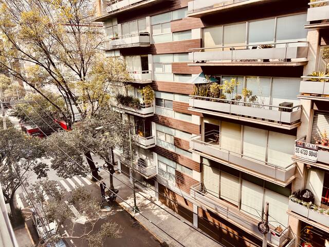 * Depa 12 personas WTC a 1 calle/Autodromo 25 min gallery image 4