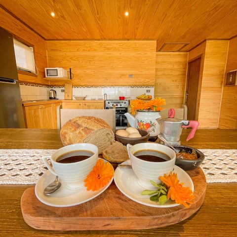 Successful Airbnb property: Refuge for 6/P in Futrono, a minute from Lago Ranco. in Futrono