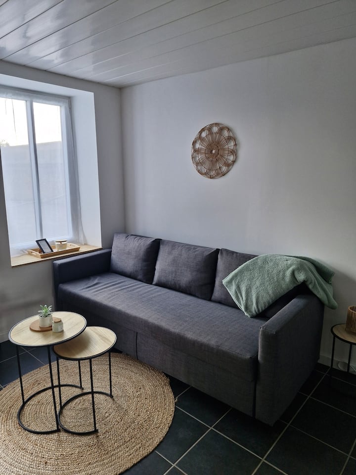 Appartement Au Calme Au Cœur De Bourgoin Jallieu - Bourgoin-Jallieu