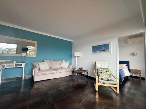 Top performing Airbnb: Excellent location - Sea Views in Villefranche Sur Mer